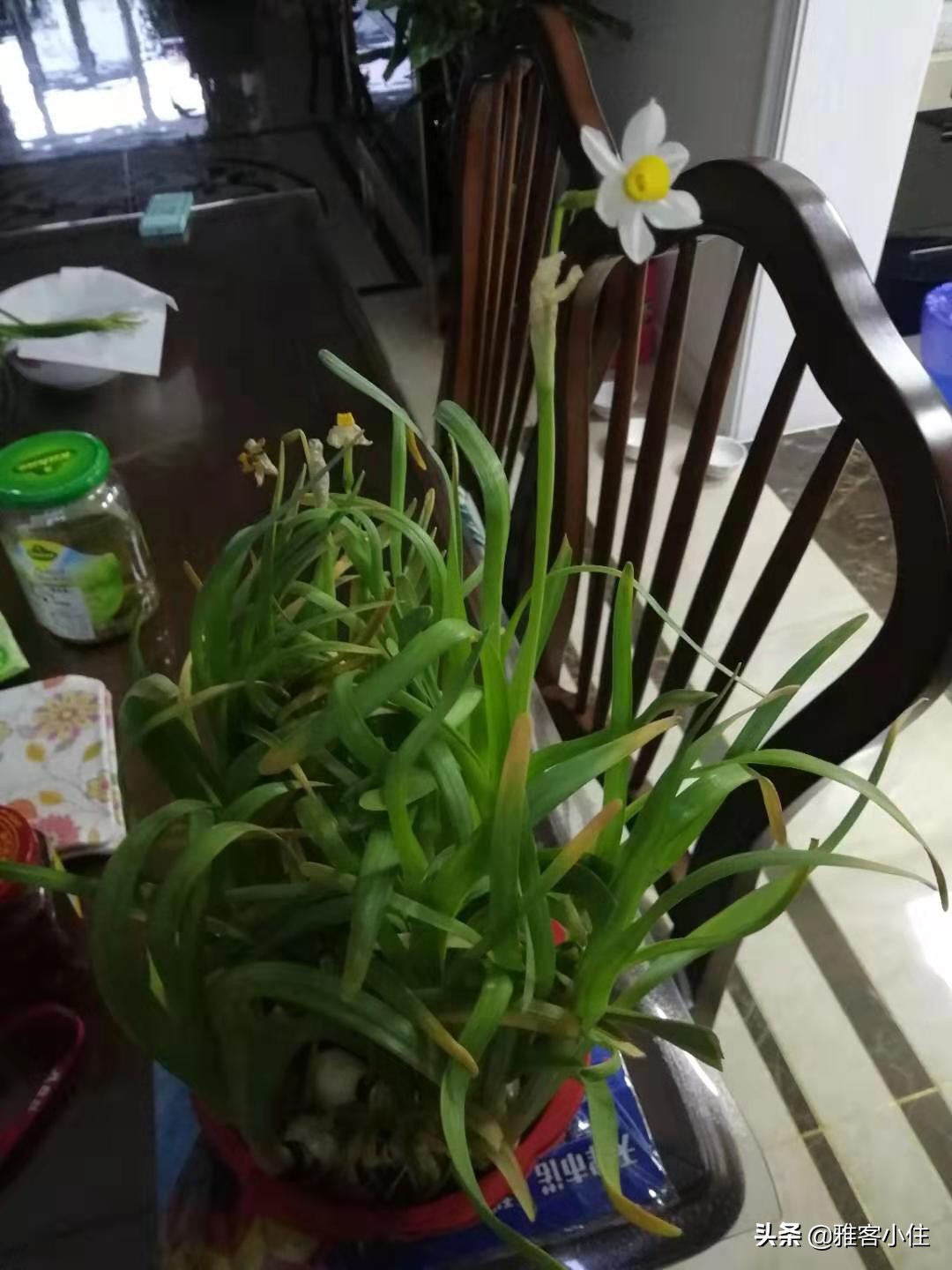 疫情下的人生感悟文案,疫情下的人生是什么