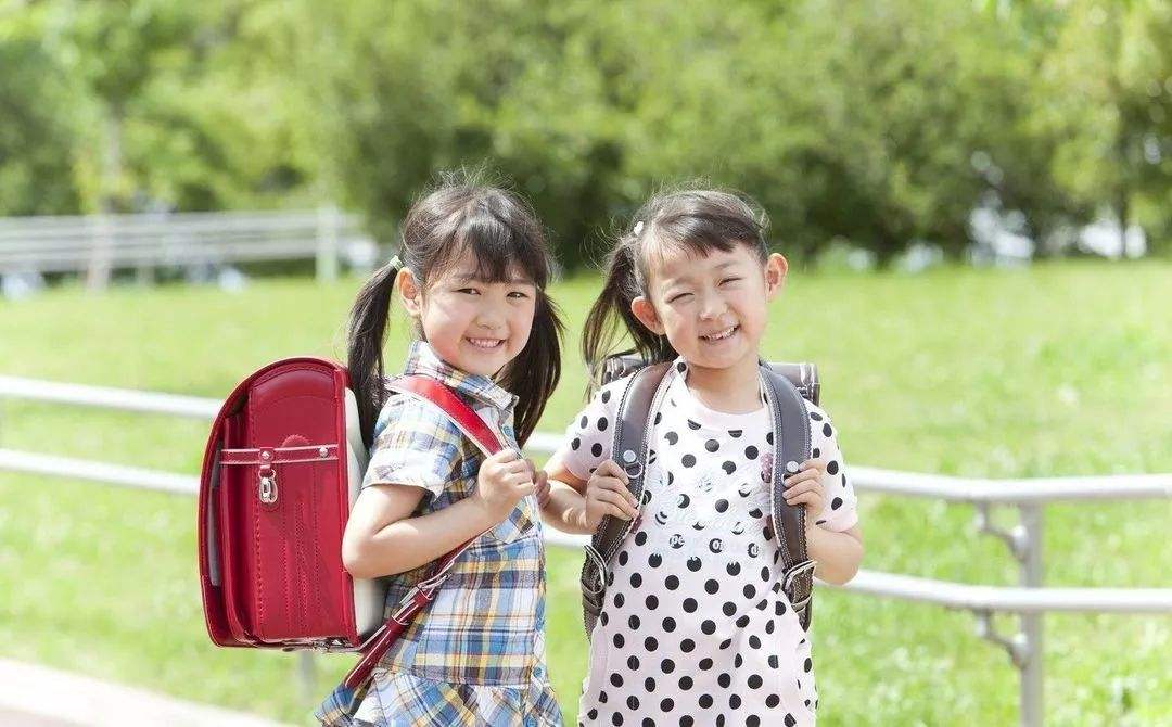 李玫瑾校园暴力家长该怎么办,李玫瑾教授孩子被欺负了怎么教育