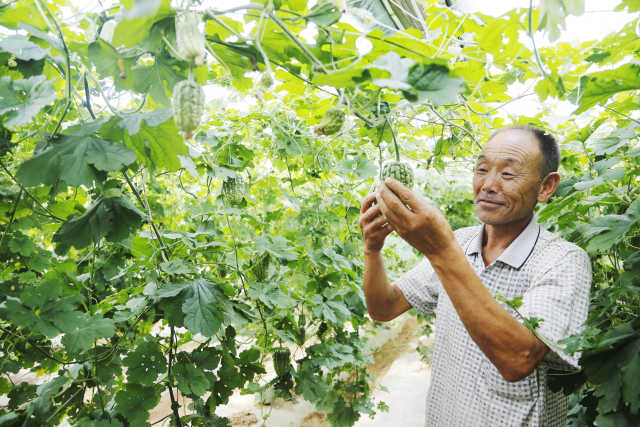 70年·夸夸我的城②｜石嘴山：我抖落一身尘埃，如今惊艳归来