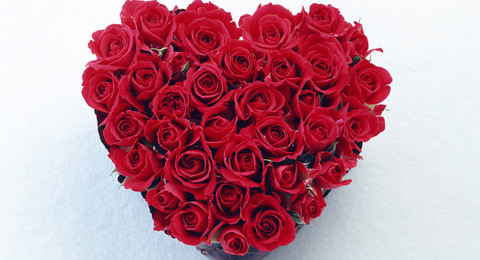 各种玫瑰的花语大不同,不同颜色玫瑰的花语与寓意是什么