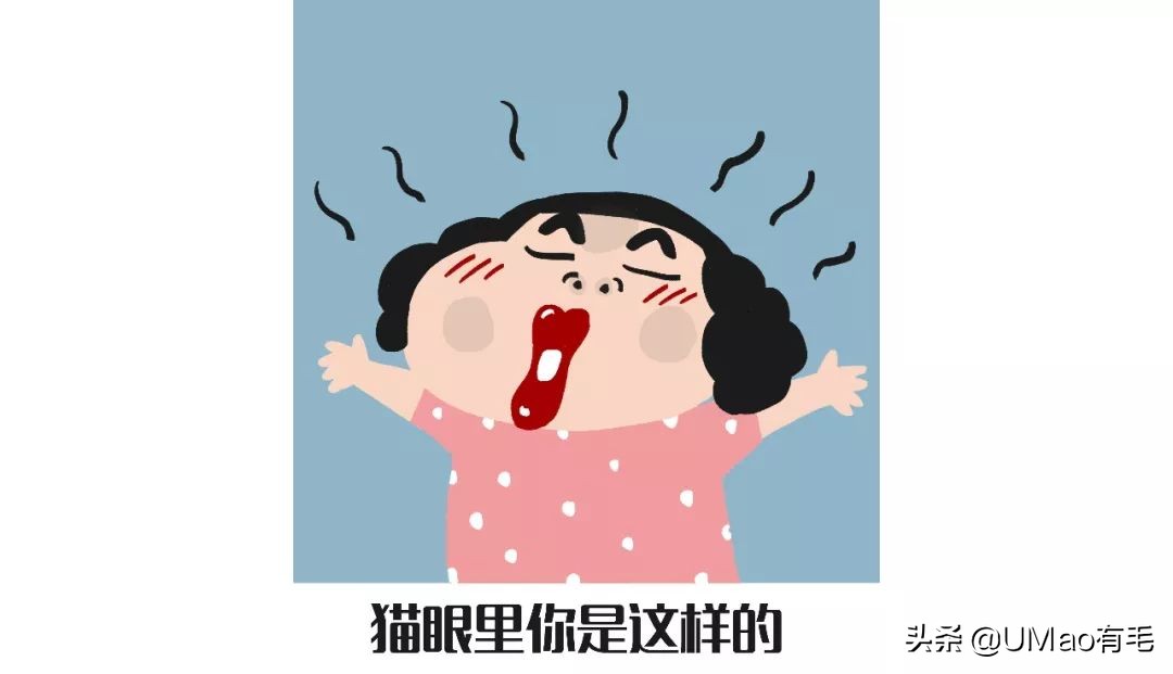 铲屎官别怕猫咪来保护你,猫咪对铲屎官的占有欲