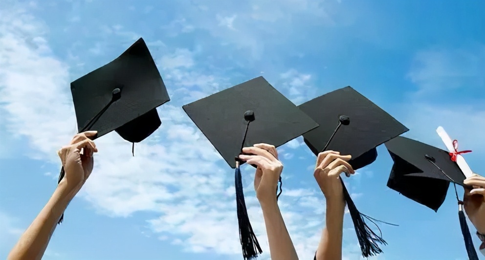 郑爽被曝日薪208万？！我的拳头硬了....