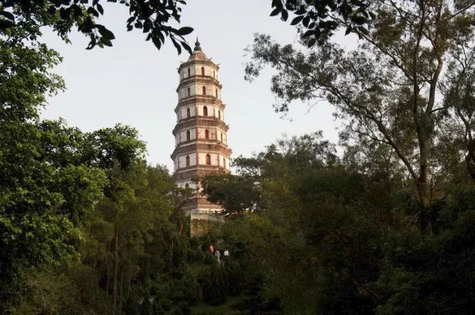 打卡茶产地|收陈皮时节到啦!这有你想get的重点