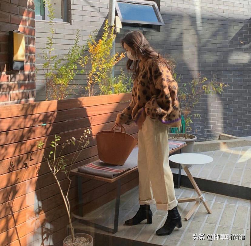 秋针织西装裤,针织衫西装裤什么场合穿