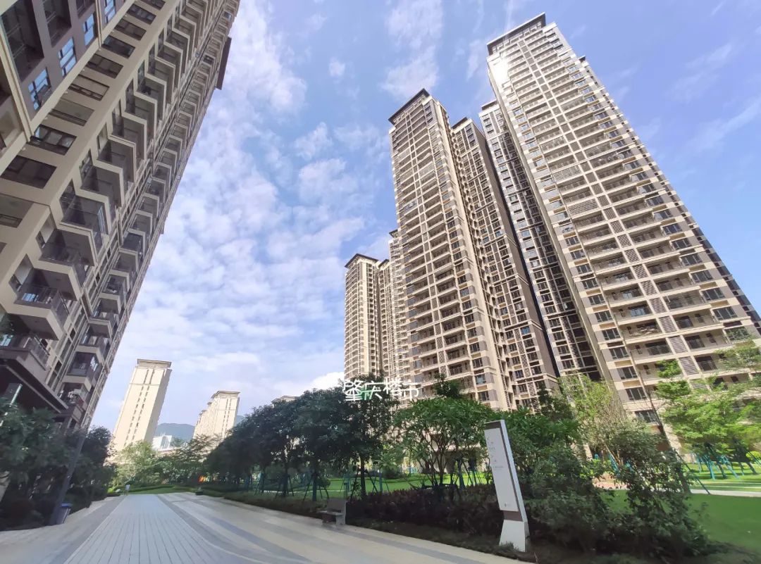 肇庆房屋维权,肇庆业主维权