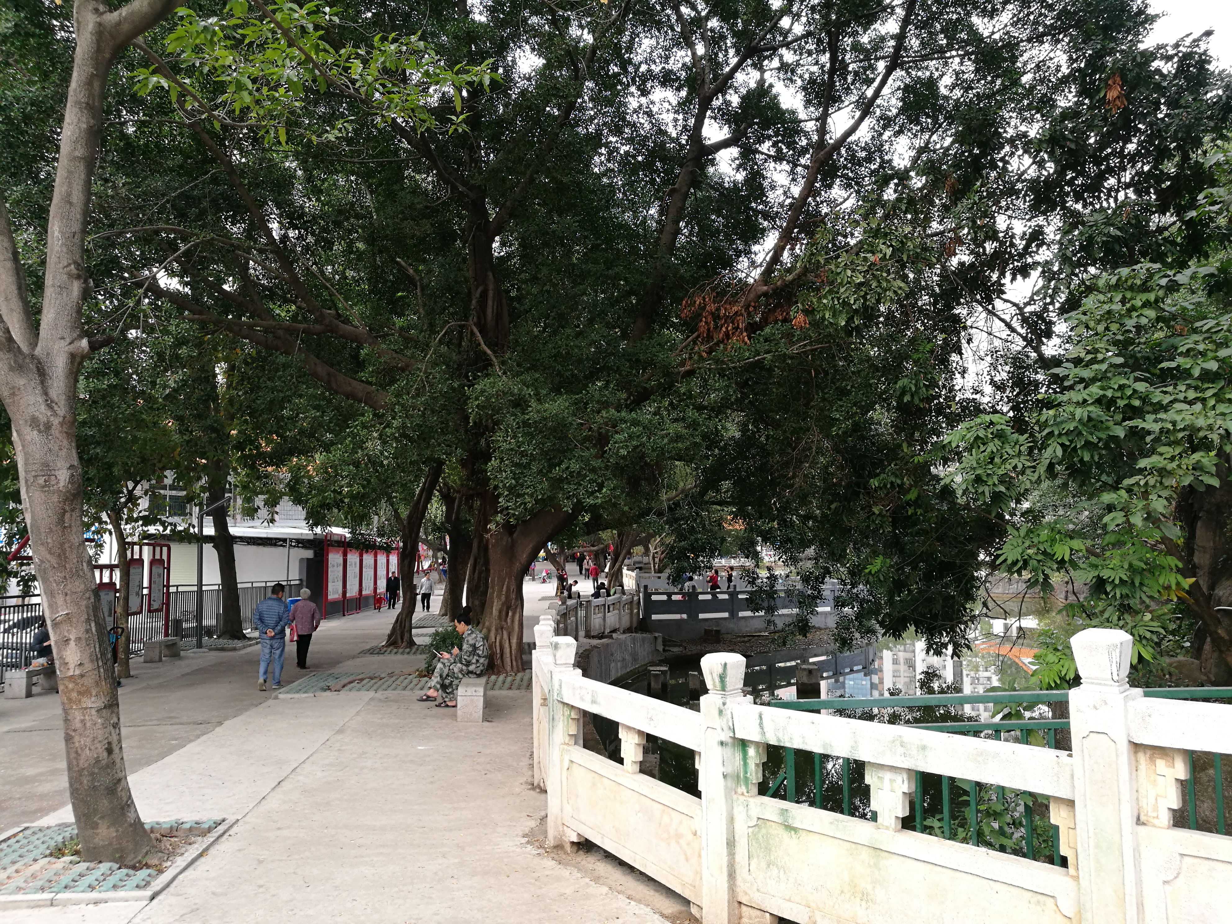 平安夜偶遇第一场雪,平安夜偶遇生日