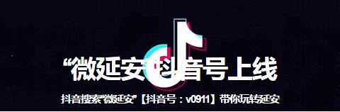 延安名贵植物,十大名贵豆类图片