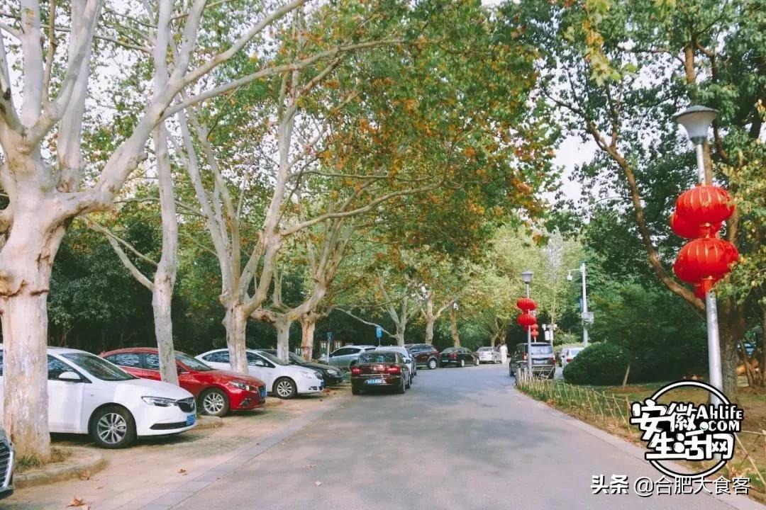 2020年，在这50个地方遇见不一样的合肥