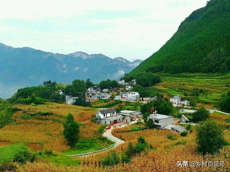 漫步在故乡的夕阳下,骑行漫步在乡间的小路上