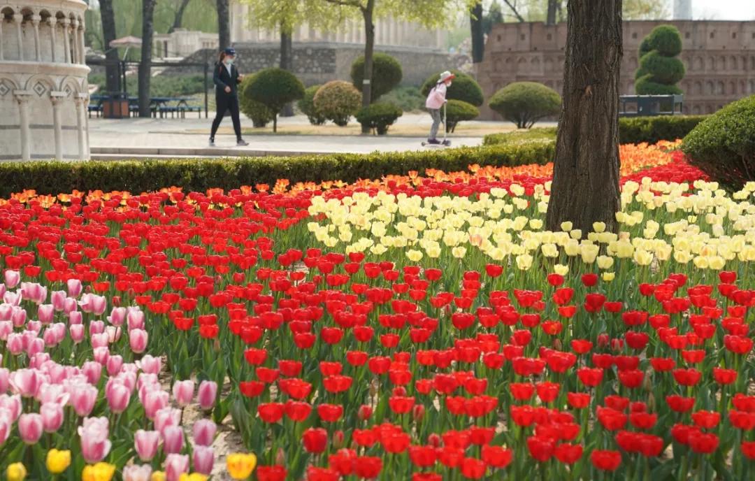 出行安全宝典,北京旅游安全攻略