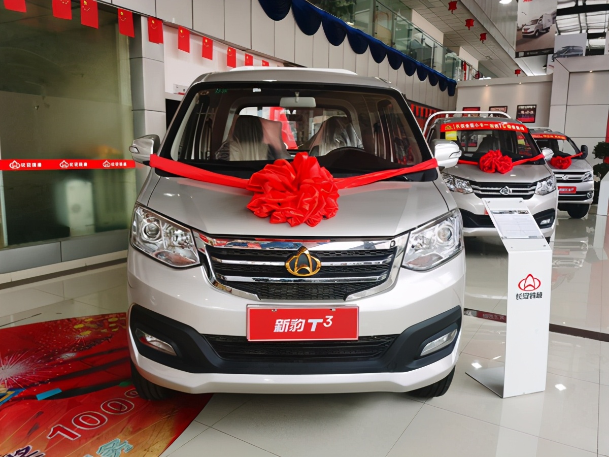 19款新豹t3,新豹t3新车双排