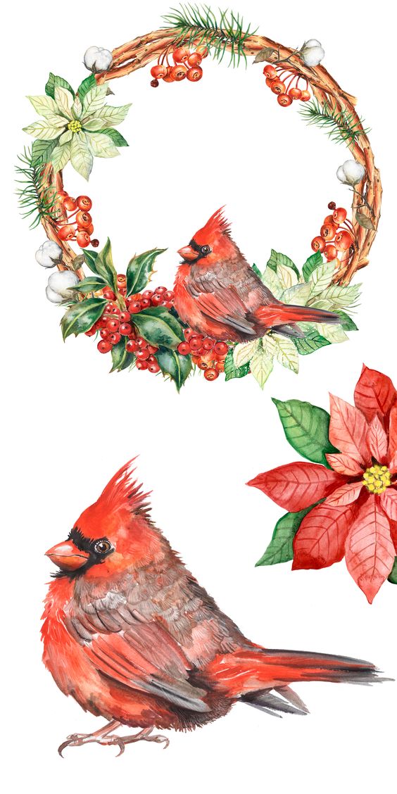 花花边框图片大全简单又漂亮,花花边框视频素材