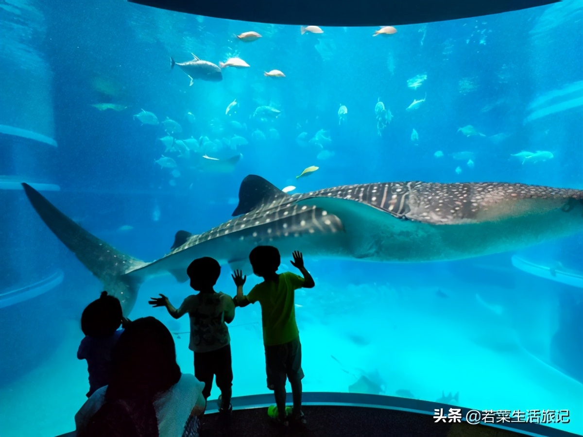 大阪旅游自由行详细攻略,大阪旅游攻略自由行攻略