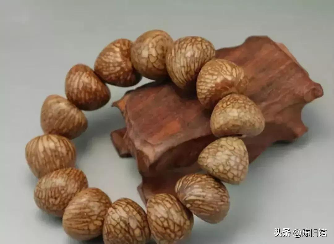 最值得玩的菩提子,真正的菩提子