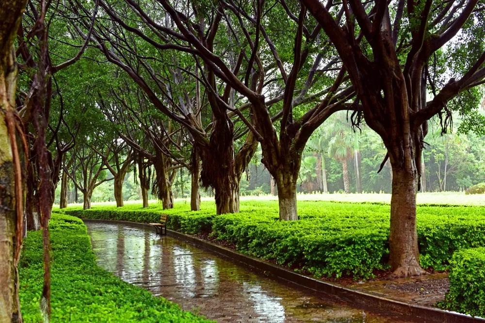 蒙自是怎么样的一个城市,蒙自到底怎么样