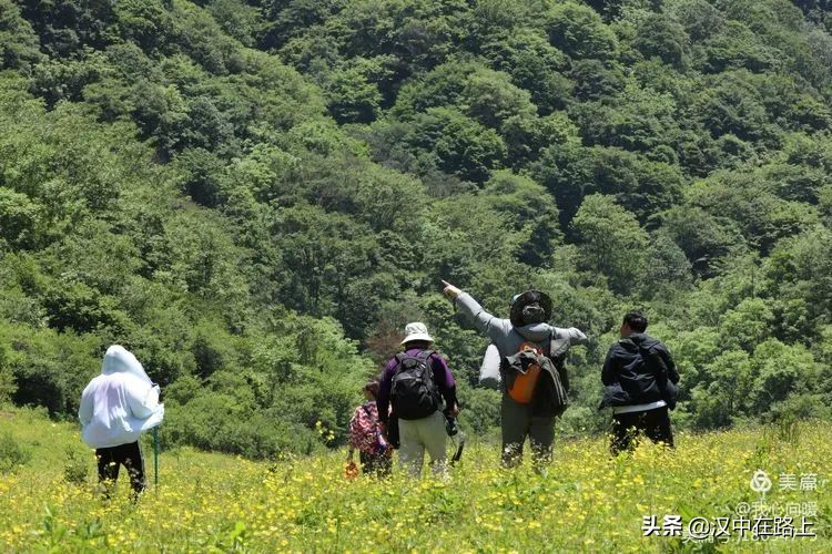 汉中圈子崖天坑,汉中镇巴圈子崖天坑旅游攻略