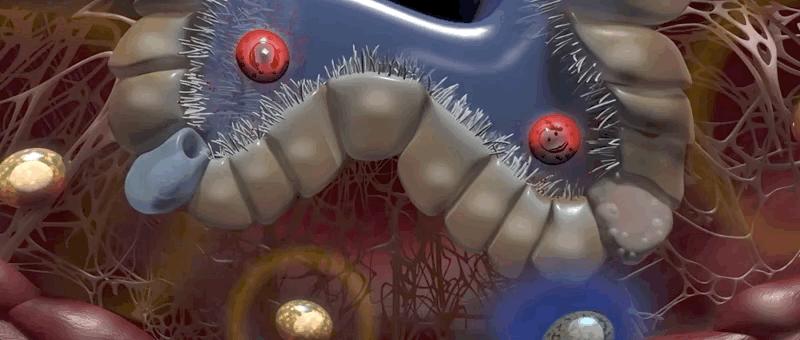 哮喘的发病原理,哮喘科普文章作品简介