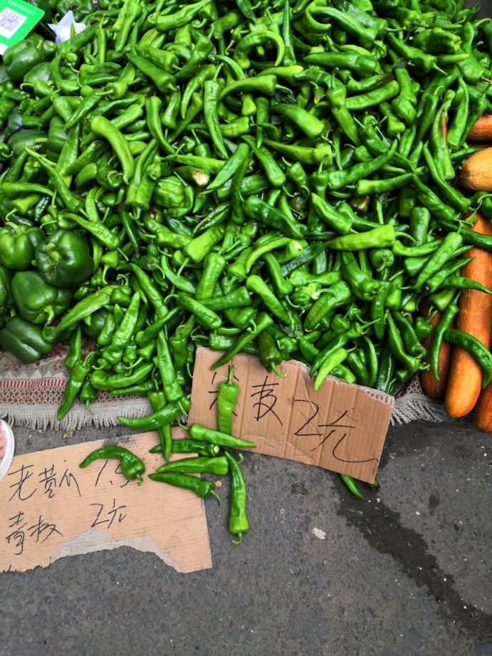 哈尔滨头条达人,哈尔滨头条新闻