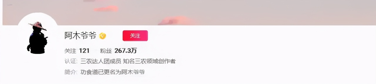 木工大叔年收入100万,木工大爷一年收入多少
