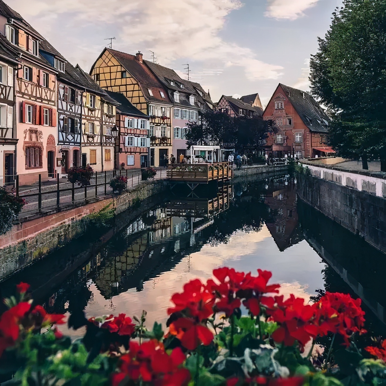 法国浪漫真实感受,移民法国生活攻略