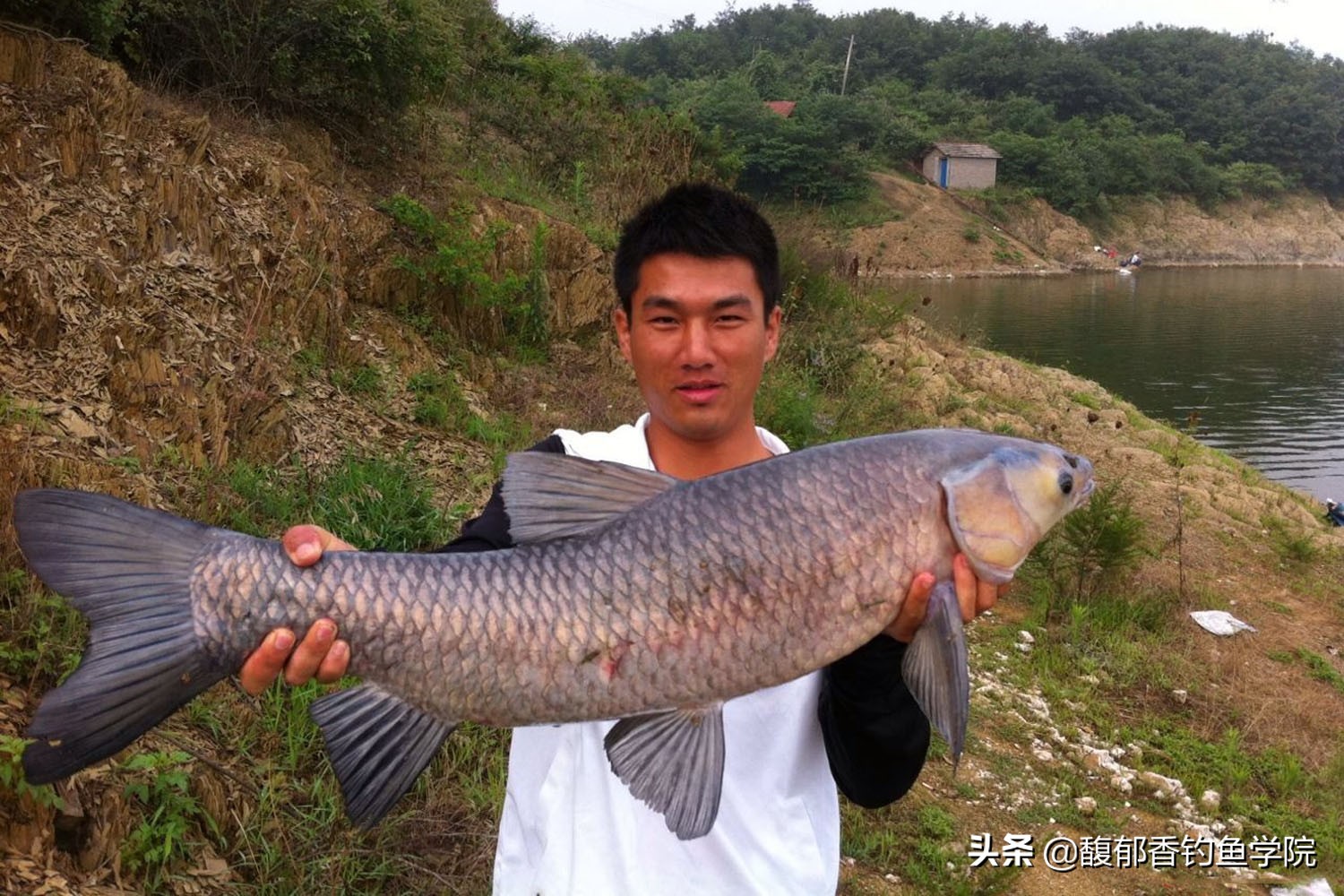 冬季最容易钓到的四种淡水鱼,天气冷只能钓哪几种淡水鱼