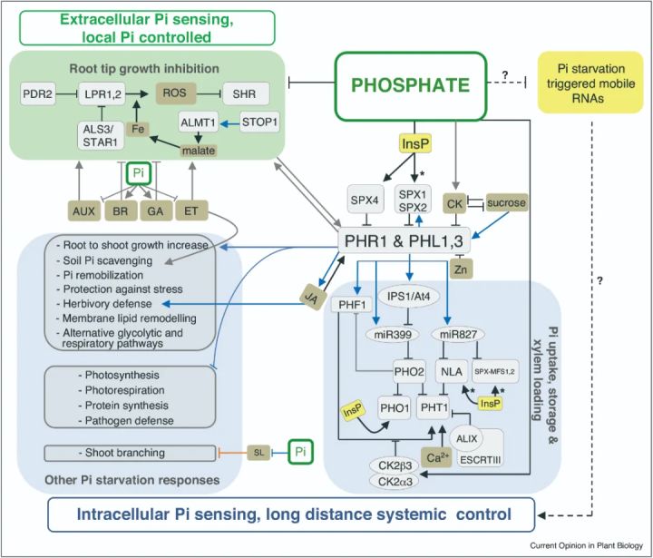 辨清敌我，统一战线——确定基因上下游关系