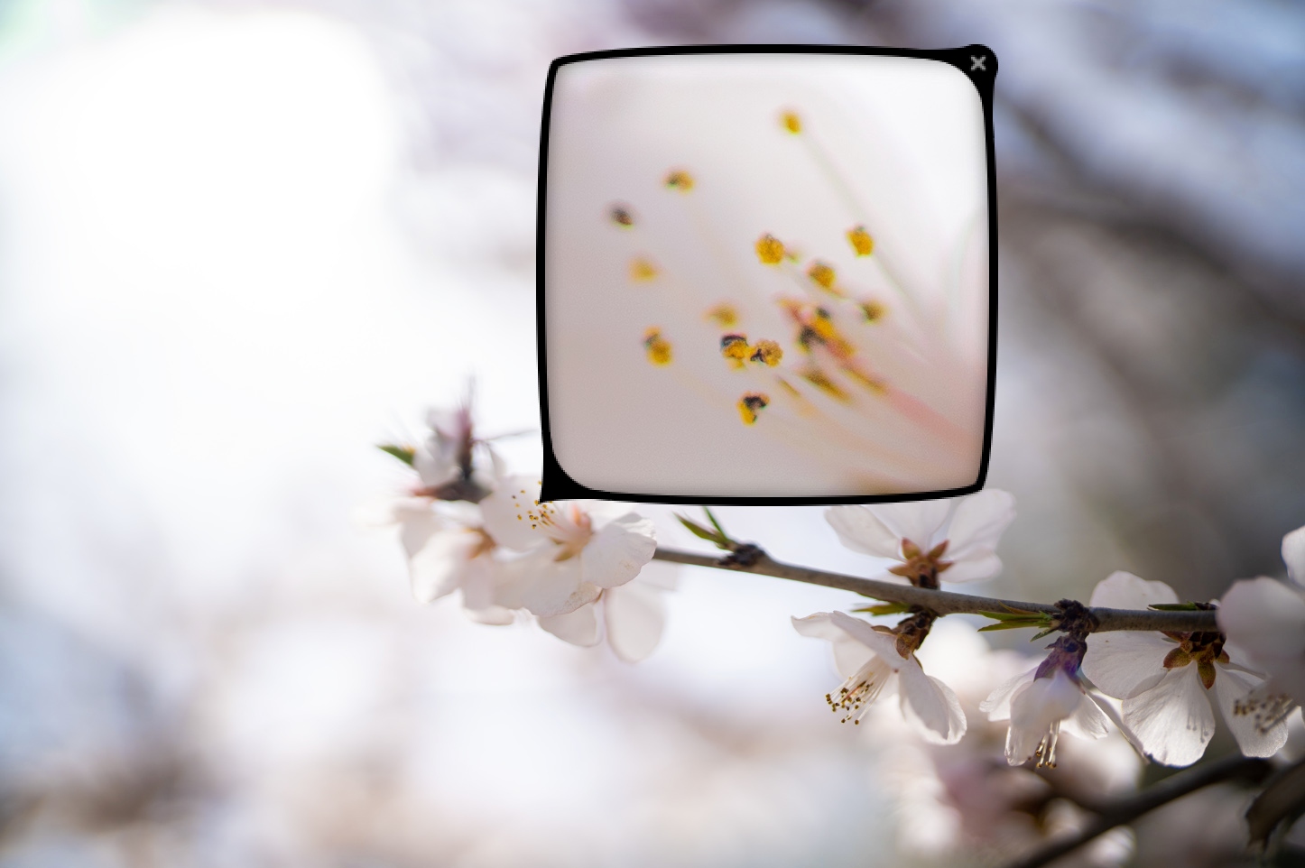 索尼fe50mmf1.2gm拍人像,索尼全画幅fe24mmf1.4测评