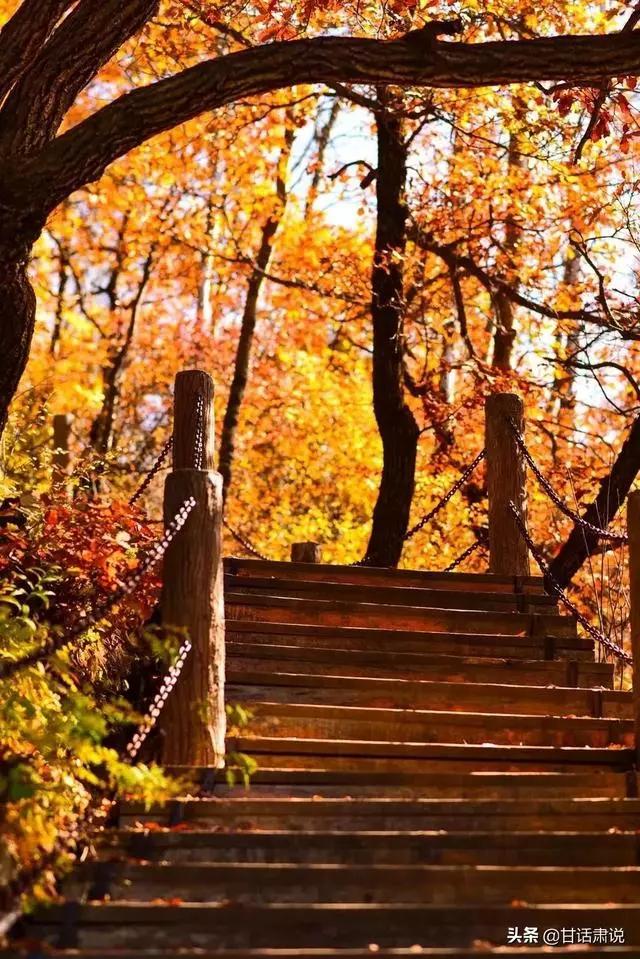 榆中有什么,榆中是哪