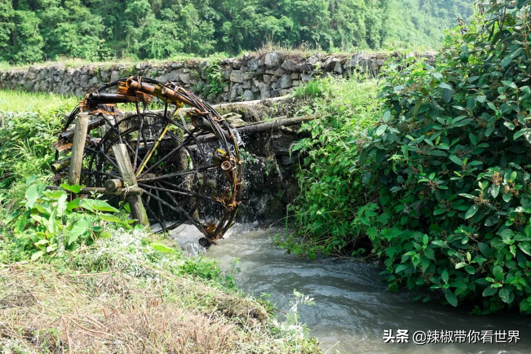 从西到东:贵州——沿河流“黔”行在这里一万种辣椒吃法向你奔来