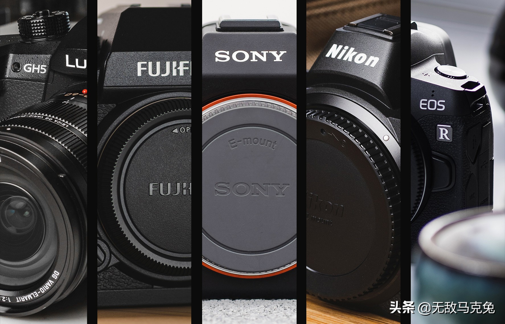 2021单反和无反相机对比,2020单反相机最佳选择