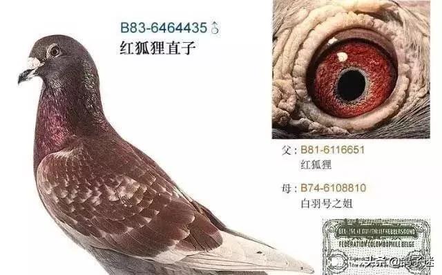 缁忛獙浜掗壌,缁忛獙姝ｄ氦鍑芥暟