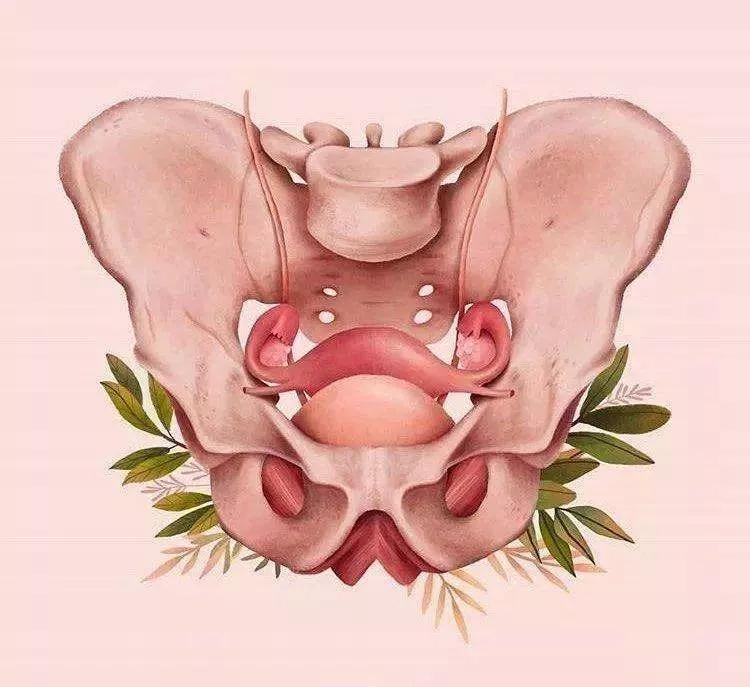 骨盆不正，最怕你做哪5件事？