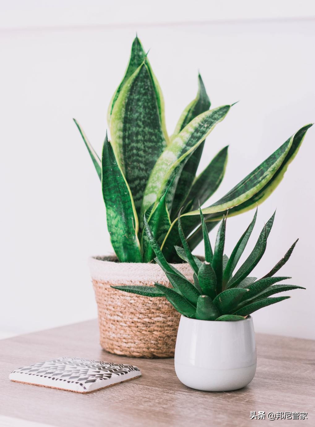 送礼雷区,送礼物雷区