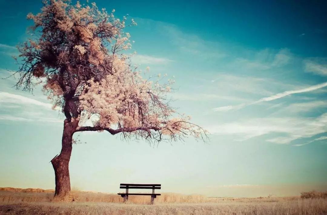 原生家庭欠你的你要靠自己赢回来,原生家庭欠你的