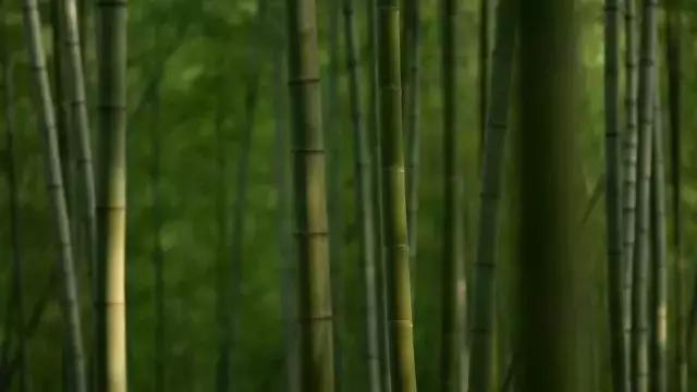 日本发扬光大的中国乐器,日本气势磅礴乐器