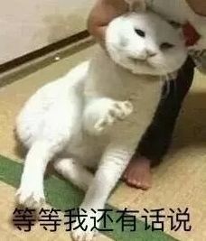 弹吉他左手换弦不利索？一次教你解决它！