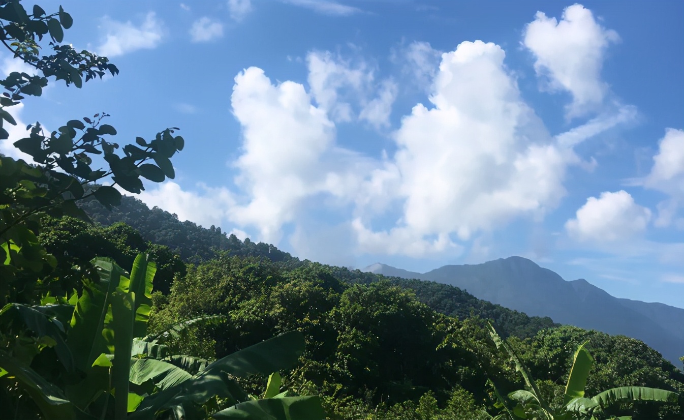 广东从化民宿温泉私人泡池价格,从化温泉私人泡池