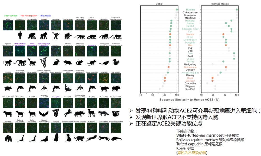 中医科学院任丽丽,任丽丽