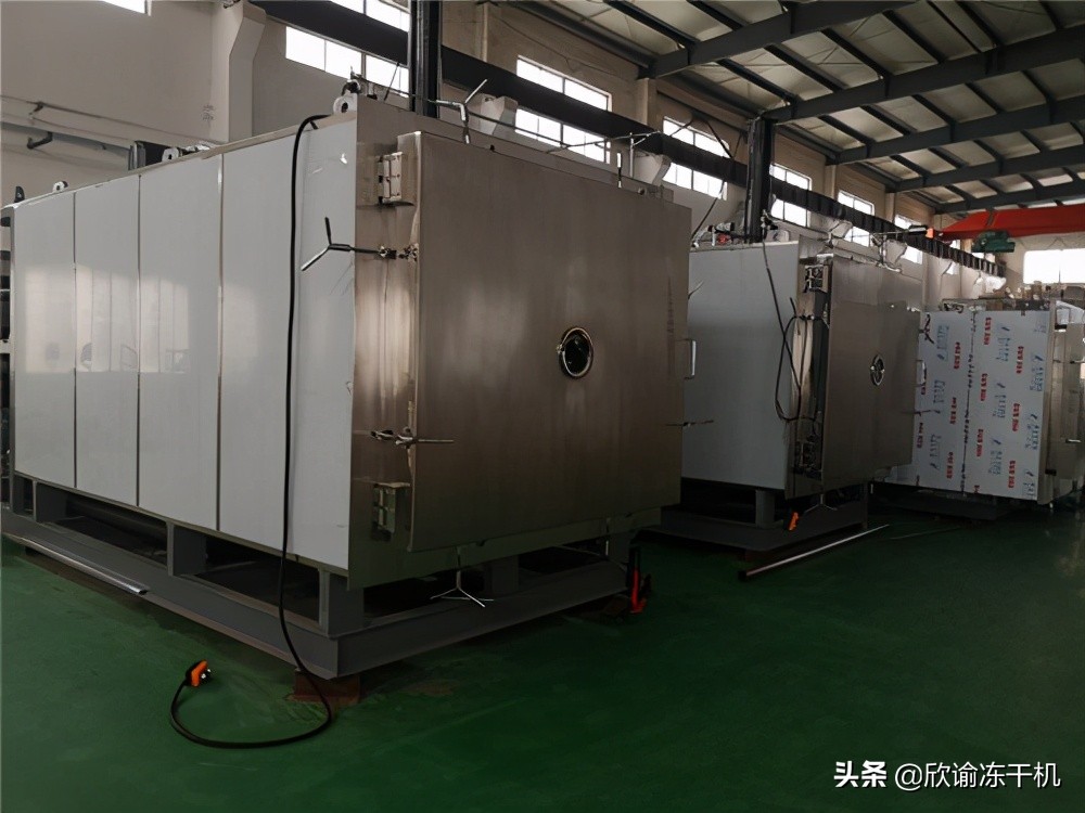 冷冻干燥机冻干标准是什么,真空干燥箱和冻干机的区别