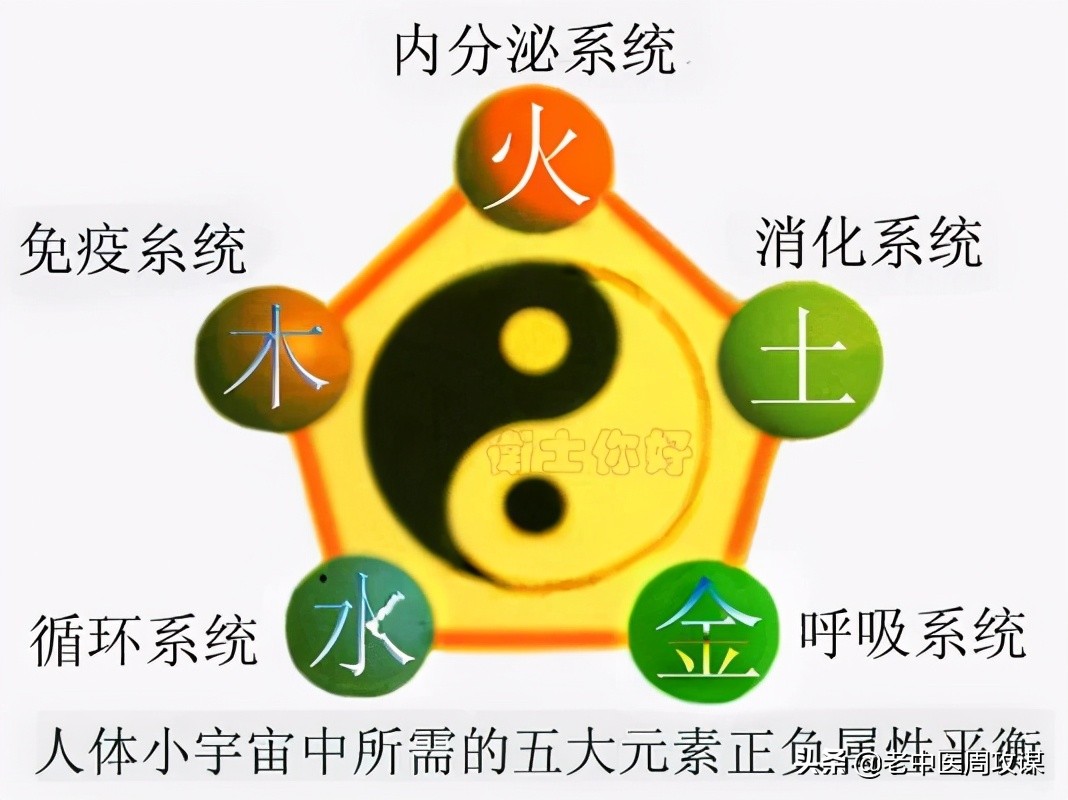 六经辨证治法,六经辨证教学视频