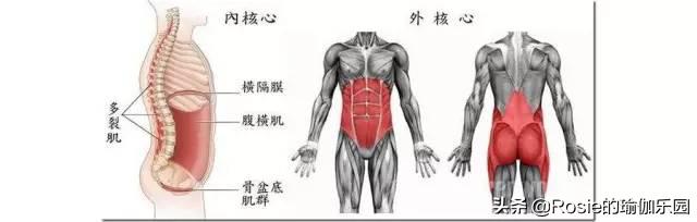 运动量过大腰疼怎么恢复,产后腰痛膝盖痛怎么锻炼