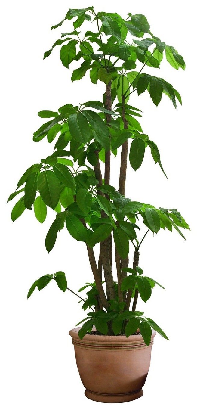 新车快速有效去除甲醛和异味,新床怎么能快速去除异味和甲醛味