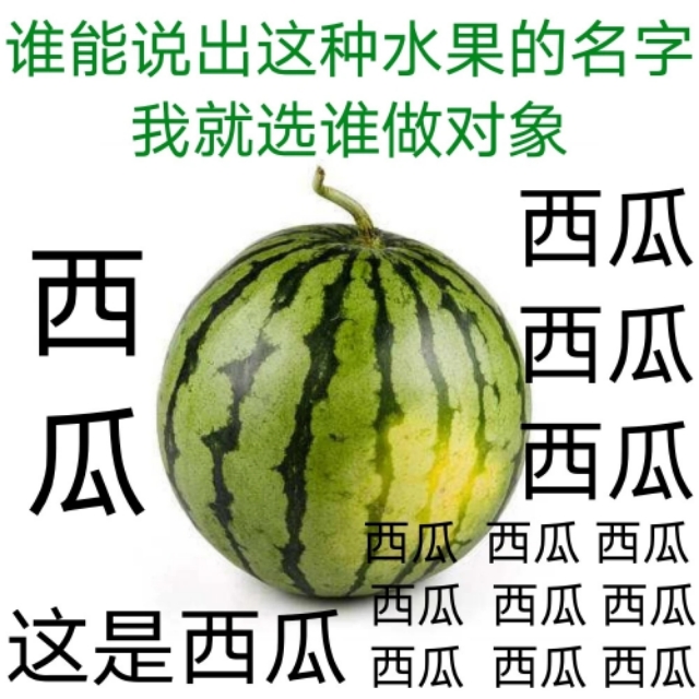 单身都是有原因的表情包,自曝单身求安排表情包