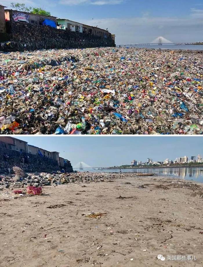 蓝鲸实拍有多大,蓝鲸到底有多大参照物