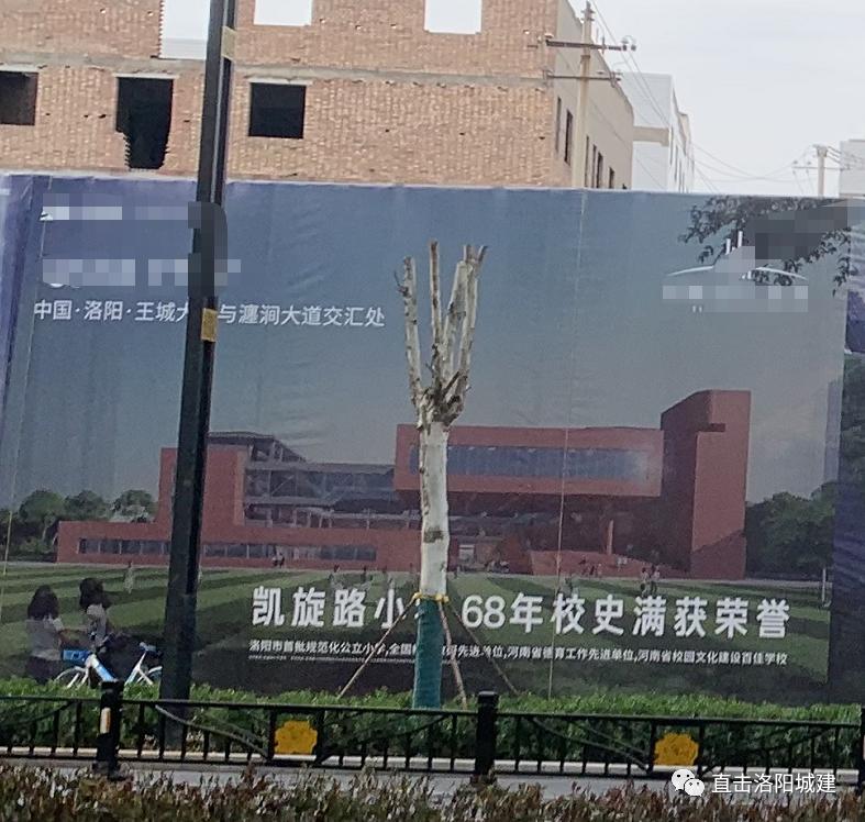 洛阳道北老城第二小学,洛阳市实验中学学区范围2020