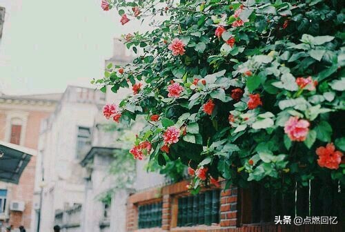 修心不在“上达”而在“下学”,历人世百态,炼心志坚!