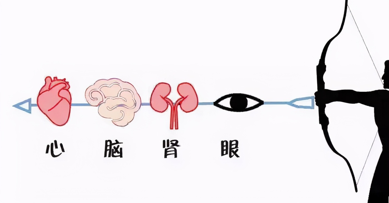 高血压基本知识,认识高血压然后正确的吃药