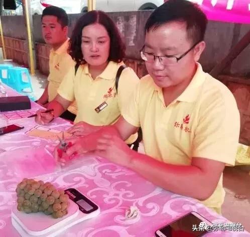 弥勒葡萄价格,弥勒葡萄卖5元一颗