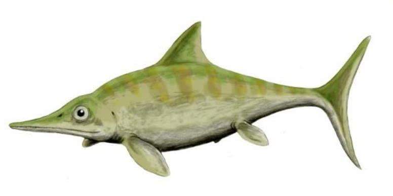 4种远古海洋里的“四大金刚”其中一种拥有绝对的力量