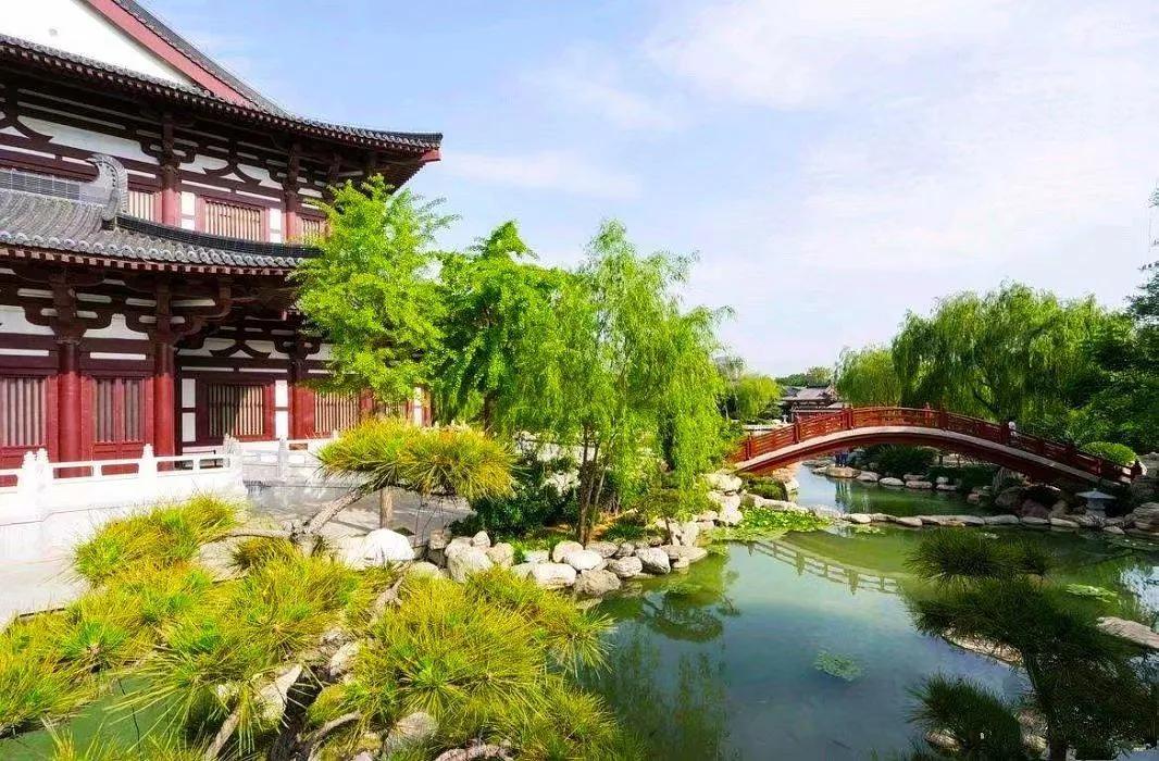 妃子笑,笑看长安